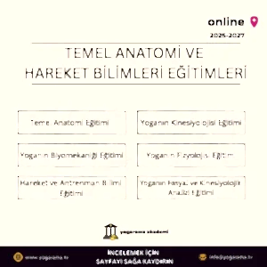 Temel Anatomi ve Hareket Bilimleri Eğitimi (3'lü Program)